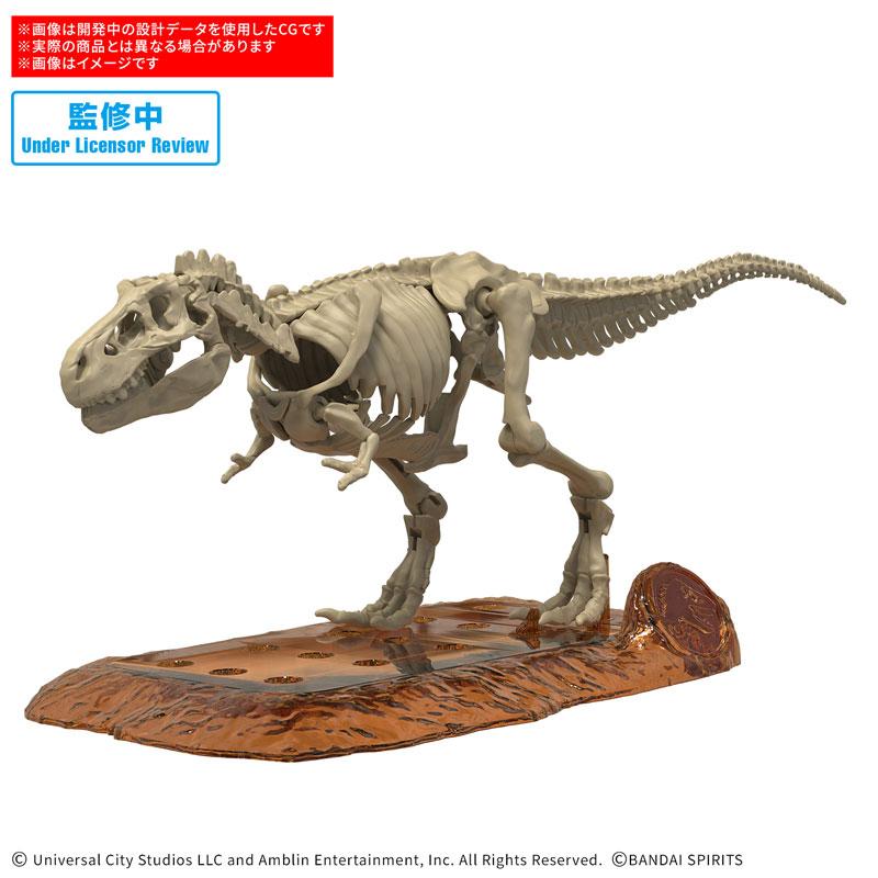 PLANNOSAURUS 暴龍骨骼模型,站立於棕色展示台上。