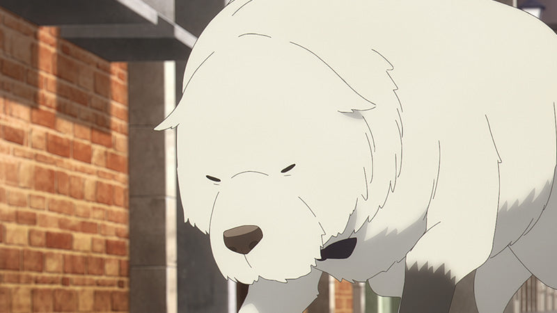 《SPY×FAMILY》彭德深度解析：「安妮亞 狗」的身世、預知能力與感人羈絆