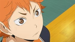 謎團解密：《排球少年！！》日向翔陽 的角色原型：一位超越現實的「小巨人」象徵