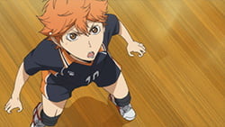 解讀《排球少年！！》日向翔陽 女友 之謎：熱血排球之路上的情感空缺？