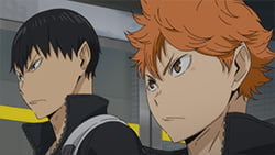 《排球少年！！》日向翔陽的飛躍終章：從烏野到世界舞台的排球之路