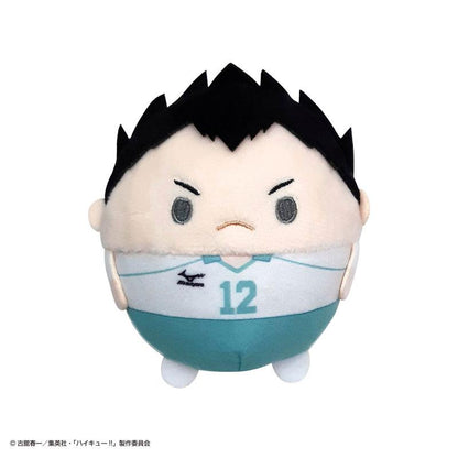 [Pre-order] Volleyball boy! ! Plush dolls 4 and 6 pieces in BOX (resale) "March 25 reservation"