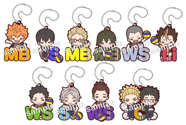 [預訂] Nitotan 排球少年！！ 烏野位置橡膠吊飾 10個入BOX《25年11月預約》