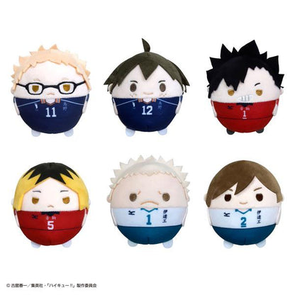 [Pre-order] Volleyball boy! ! Plush doll 2 6 pieces in BOX (resale) "Reservation for September 24"