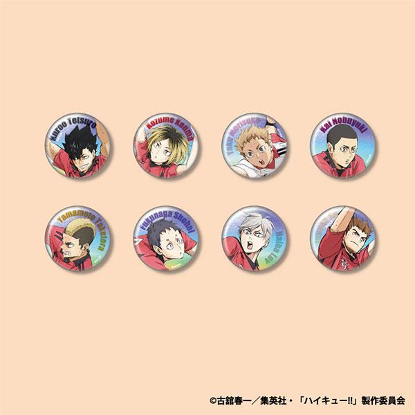 [Pre-order] Volleyball boy! ! TD Badge 5 issue action copyright Aurora ver. 8 Yinju enter the BOX "January 25 reservation"