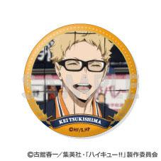 [預訂] 排球少年！！ 交換徽章 ～烏野精選Vol.2～ 11個入BOX《25年10月預約》