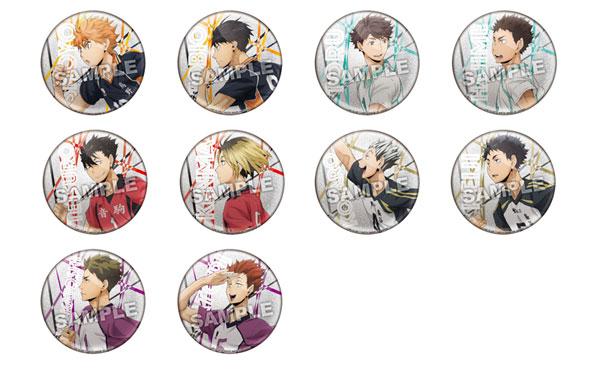 [Pre-order] Volleyball boy! ! 10 sprint and shine exchange badges will be put into the BOX "March 25 reservation"