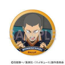 [預訂] 排球少年！！ 交換徽章 ～烏野精選Vol.2～ 11個入BOX《25年10月預約》