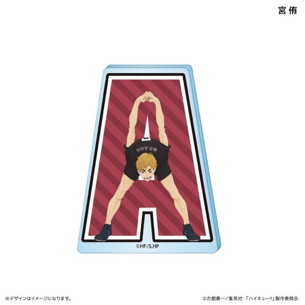 [Pre-order] Volleyball boy! ! Acrylic Block Initial Gymnastics ver. Gong Yoo "December 24 Appointment"