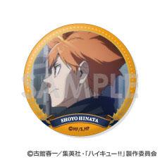 [預訂] 排球少年！！ 交換徽章 ～烏野精選Vol.2～ 11個入BOX《25年10月預約》