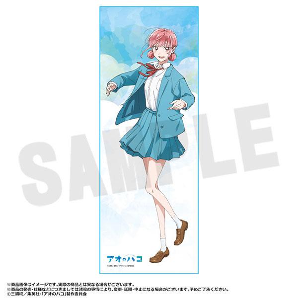 [Pre-order] TV animation Youth Box BIG Microfiber Towel B "Pre-order for January 25"
