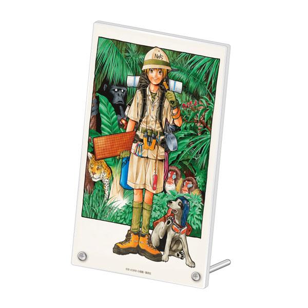 [預訂] 棋靈王 壓克力板 / A《25年9月預約》