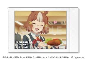 [預訂] 動畫『賽馬娘 Pretty Derby』 角色合影Collection 12個入BOX《26年1月預約》