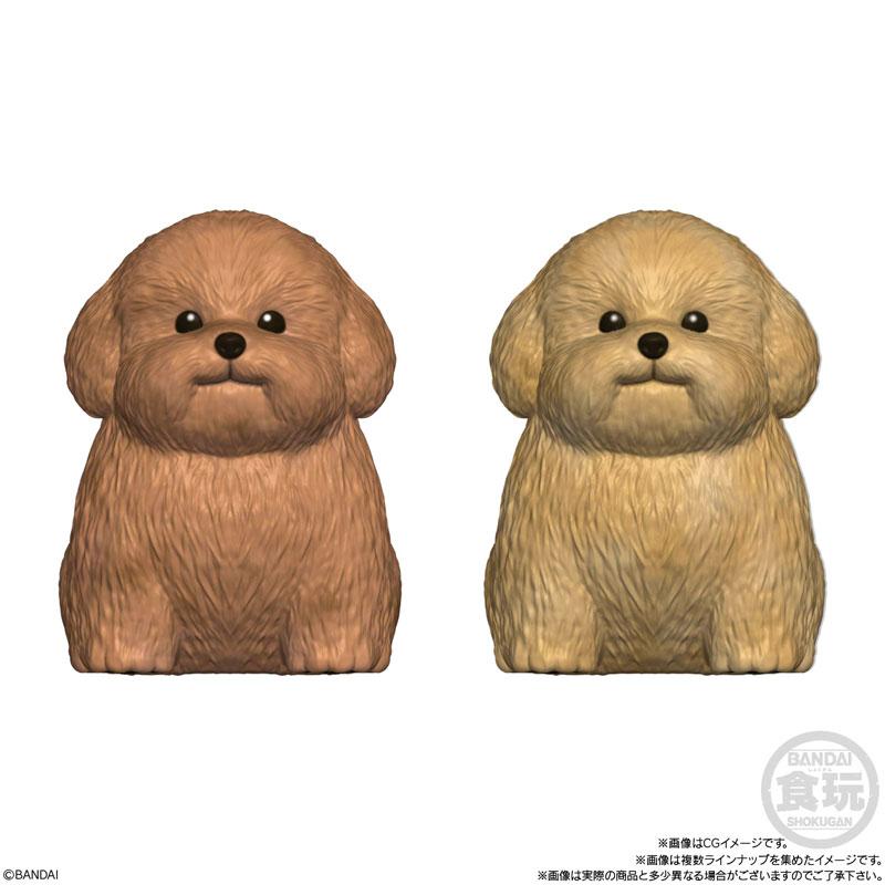 [預訂] Mocchiri Kororin 小狗 12個入BOX (食玩)《26年3月預約》