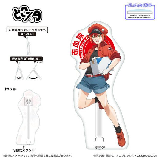 [Reservation] Working Cell Dokosuta/Red Blood Cell "December 24 Reservation"