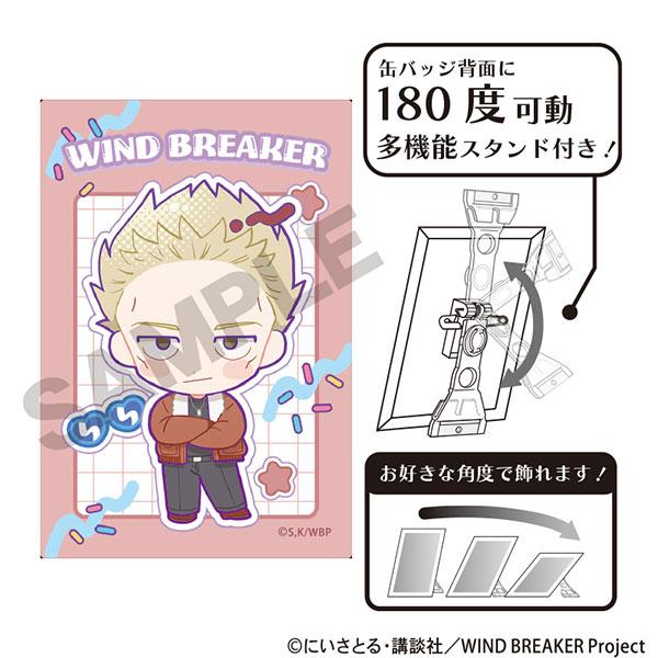 [預訂] 防風少年 Art 徽章 柊登馬 美國流行音樂 《25年5月預約》