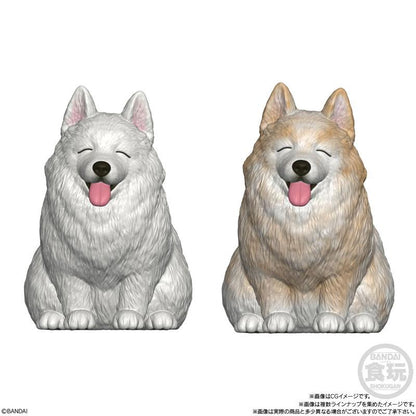 [預訂] Mocchiri Kororin 小狗 12個入BOX (食玩)《26年3月預約》