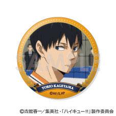 [預訂] 排球少年！！ 交換徽章 ～烏野精選Vol.2～ 11個入BOX《25年10月預約》