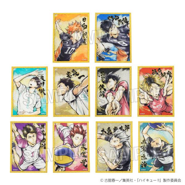 [預訂] 排球少年！！ 激鬥！！交換壓克力色紙高級 10個入BOX《25年9月預約》