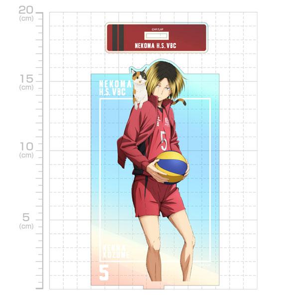 [預訂] 排球少年！！ 孤爪研磨 極光立牌(大) 挑戰與成長Ver.《25年10月預約》