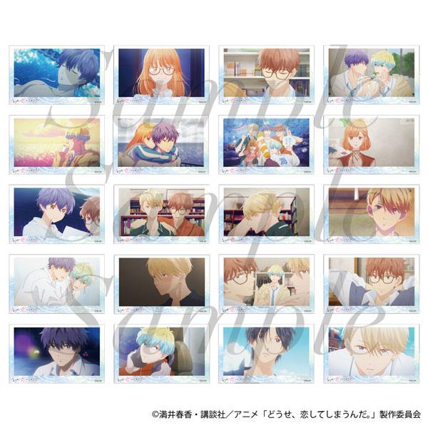 [預訂] TV動畫『終究，與你相戀。』 交換場景寫真照片Collection 完整套裝《25年8月預約》