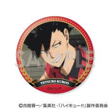 [預訂] 排球少年！！ 交換徽章 ～音駒精選Vol.2～ 12個入BOX《25年10月預約》