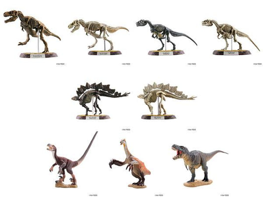 [Pre-order] Dinosaur Master 5 10 pieces in BOX (food toy) "Pre-order in November 24"