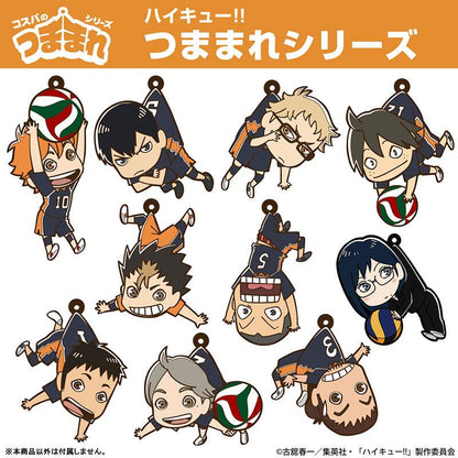 [預訂] 排球少年！！ 菅原孝支 被夾起 制服Ver.《25年6月預約》