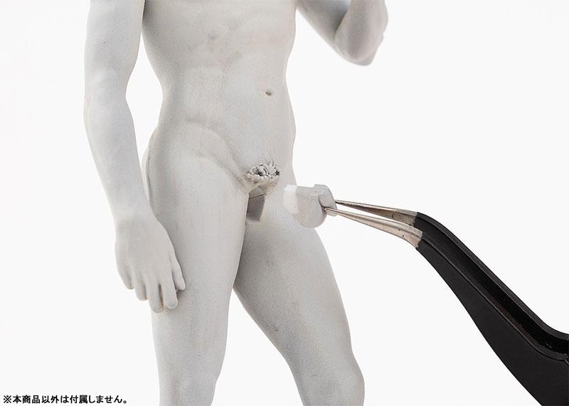 [Pre-order] Statue of David 1/35 model "March 25 reservation"