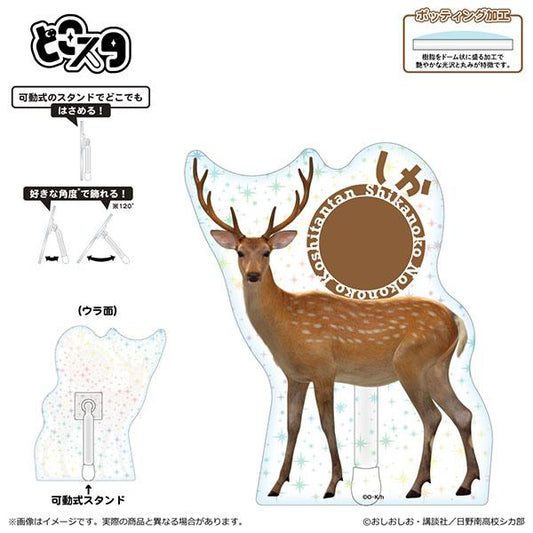 [Reservation] Kanoko Noko Noko eyeing Dokosuta deer "January 25 reservation"