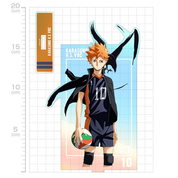 [預訂] 排球少年！！ 日向翔陽 極光立牌(大) 挑戰與成長Ver.《25年10月預約》