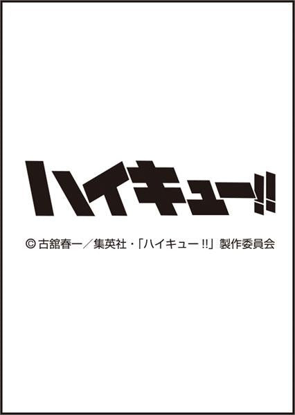 [預訂] 動畫『排球少年！！』2025年日曆《24年12月預約》