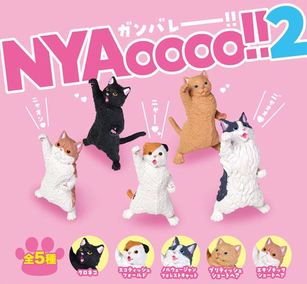 [預訂] NYAoooo！！ 2　10個入BOX《25年2月預約》