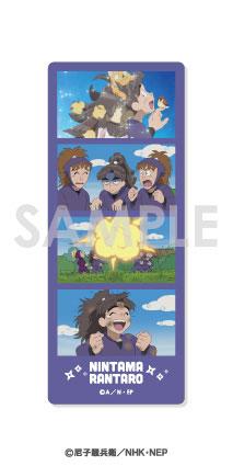 [預訂] 忍者亂太郎 交換透明照片剪裁 BOX.B 12個入BOX《25年9月預約》