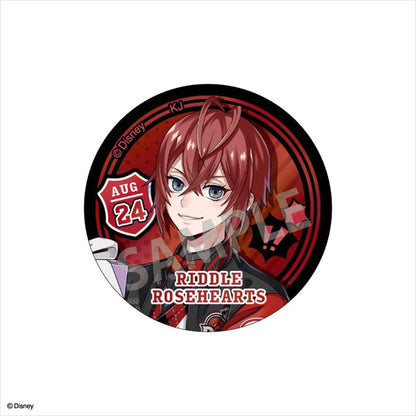 [預訂] 迪士尼扭曲仙境 聯盟生日ver. 交換極光金屬徽章vol.1 BOX《25年4月預約》