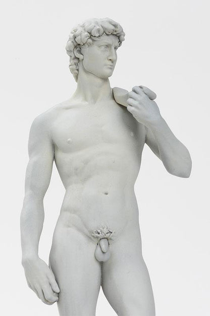 [Pre-order] Statue of David 1/35 model "March 25 reservation"