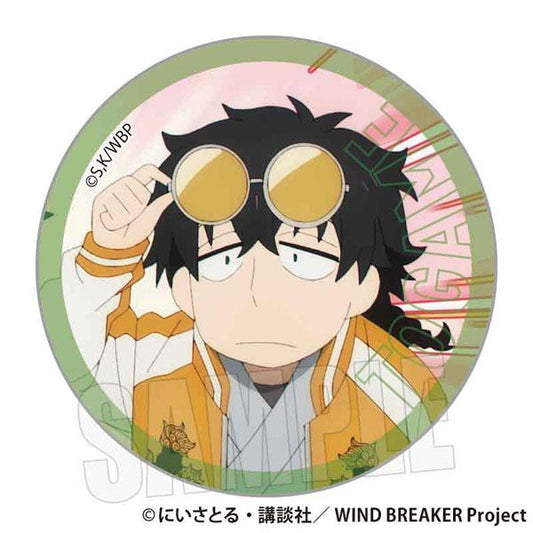 [預訂] WIND BREAKER 貼紙 十龜條B《24年11月預約》