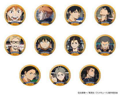 [預訂] 排球少年！！ 交換徽章 ～烏野精選Vol.2～ 11個入BOX《25年10月預約》