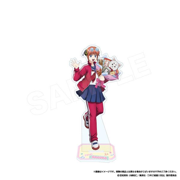 [預訂] 3年Z組 銀八老師 立牌(贈品) 神樂《25年9月預約》