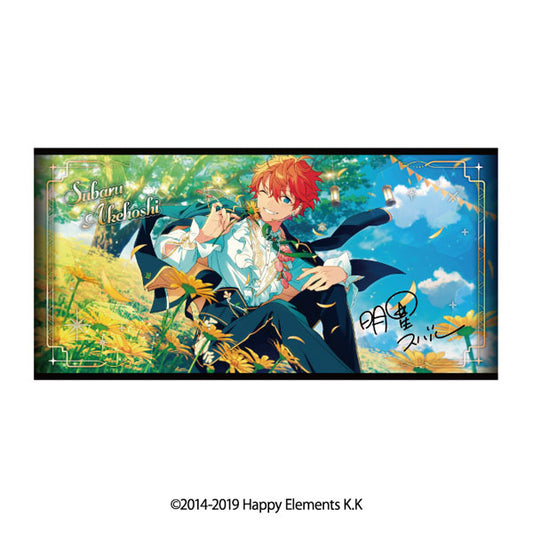 [預訂] 偶像夢幻祭 視覺浴巾 vol.5 6.明星昴流《25年12月預約》