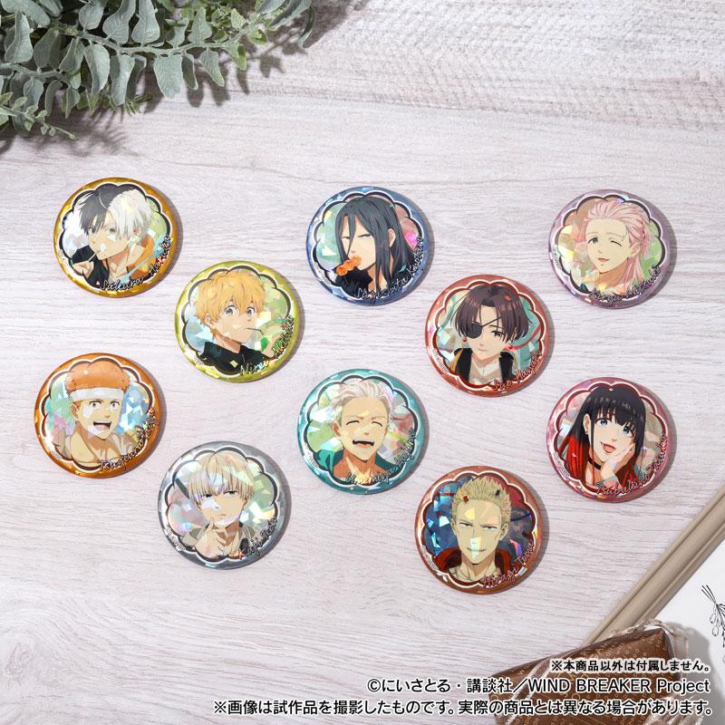 [預訂] 防風少年 全息角色徽章Collection 10個入BOX《25年9月預約》