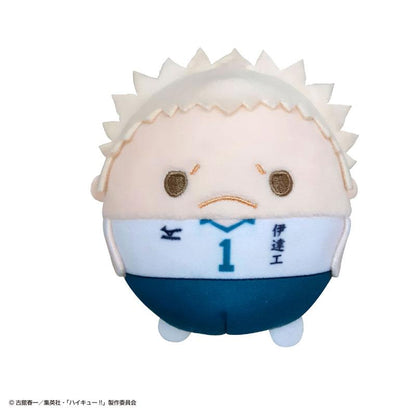 [Pre-order] Volleyball boy! ! Plush doll 2 6 pieces in BOX (resale) "Reservation for September 24"