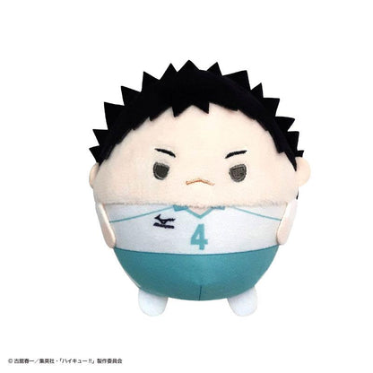 [Pre-order] Volleyball boy! ! Plush dolls 4 and 6 pieces in BOX (resale) "March 25 reservation"