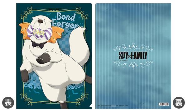 [預訂] SPY×FAMILY 透明文件夾 彭德·佛傑《25年10月預約》