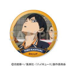 [預訂] 排球少年！！ 交換徽章 ～烏野精選Vol.2～ 11個入BOX《25年10月預約》