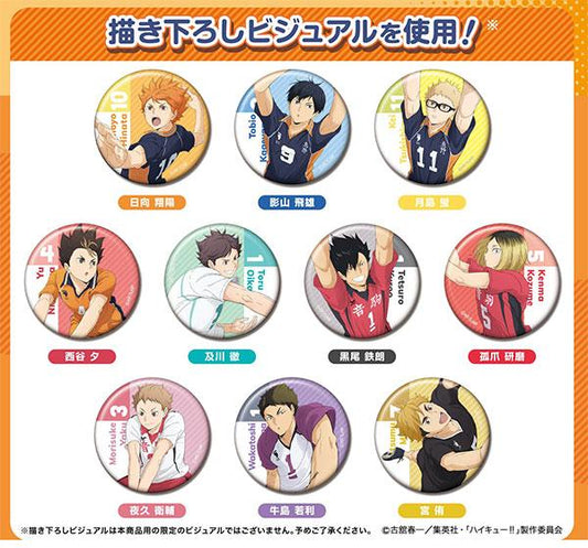 [Pre-order] Badge Volleyball Boys! ! 10 pieces in the BOX "Reservation for October 24"