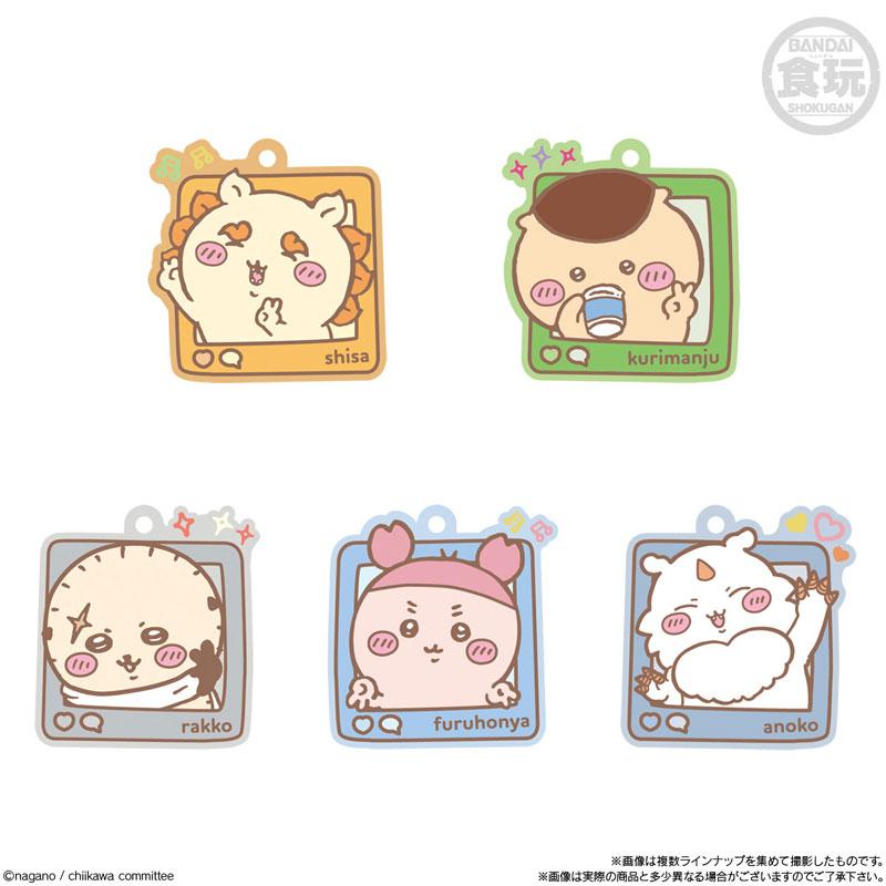 [Pre-order] Chiikawa Chubby Gummy Candy 4 12 pieces in BOX (food toy) "Pre-order in February 25"