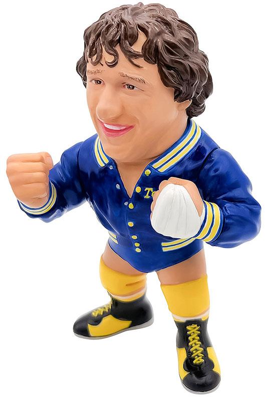 [Pre-order] 16d Vinyl Collection 034 Legendary Master Terry Funk’s completed model "Reservation for July 24"