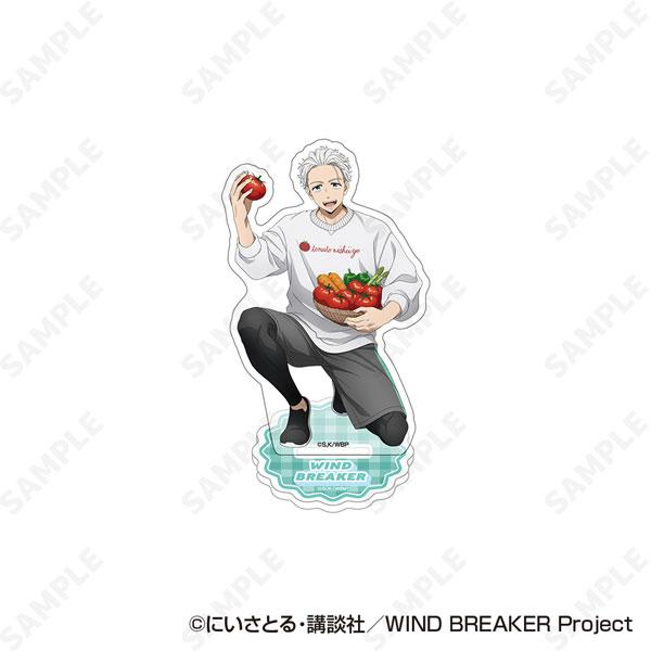 [預訂] 防風少年 立牌 2.梅宮一《25年10月預約》