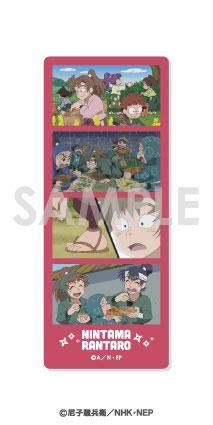 [預訂] 忍者亂太郎 交換透明照片剪裁 BOX.B 12個入BOX《25年9月預約》